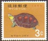 Ryu Kyu 131 tartaruga Terrestre NNN (Japão) aa0205